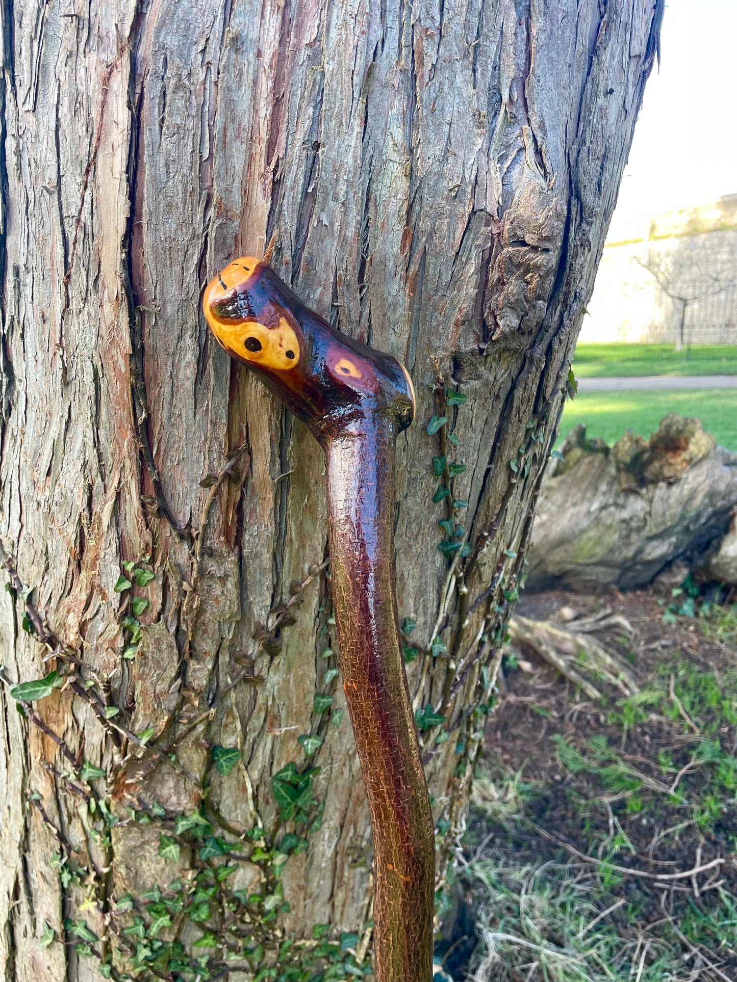 Curved Blackthorn #3 | Irish Walking Sticks