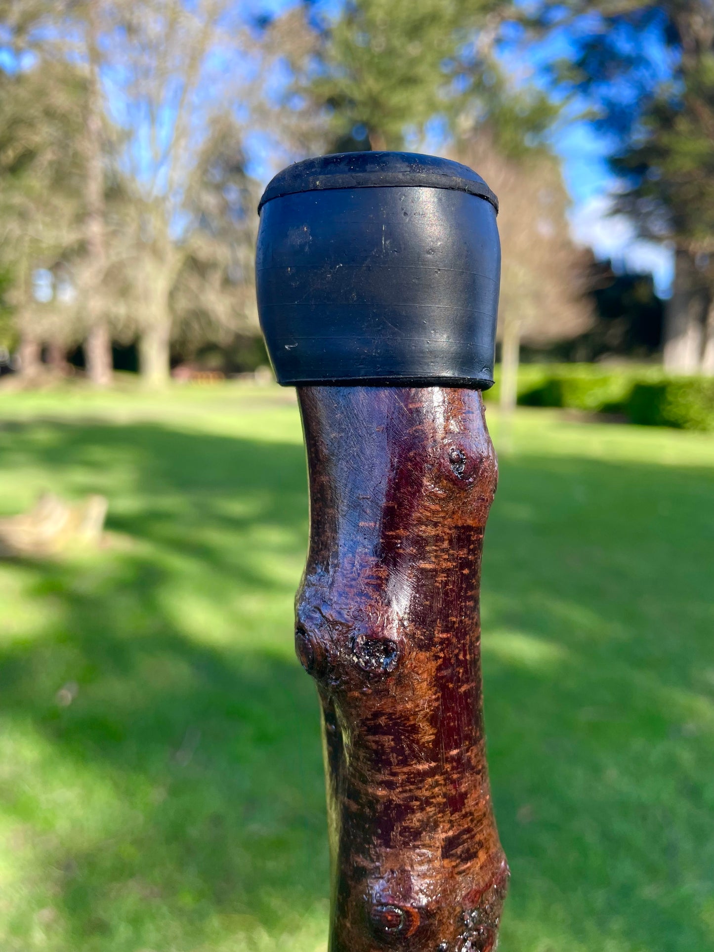 Blackthorn walking stick with curved handle