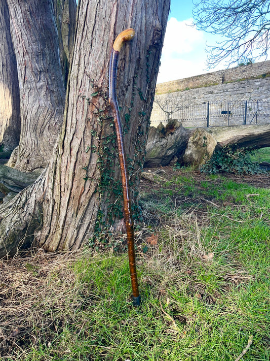 Blackthorn walking stick with curved handle