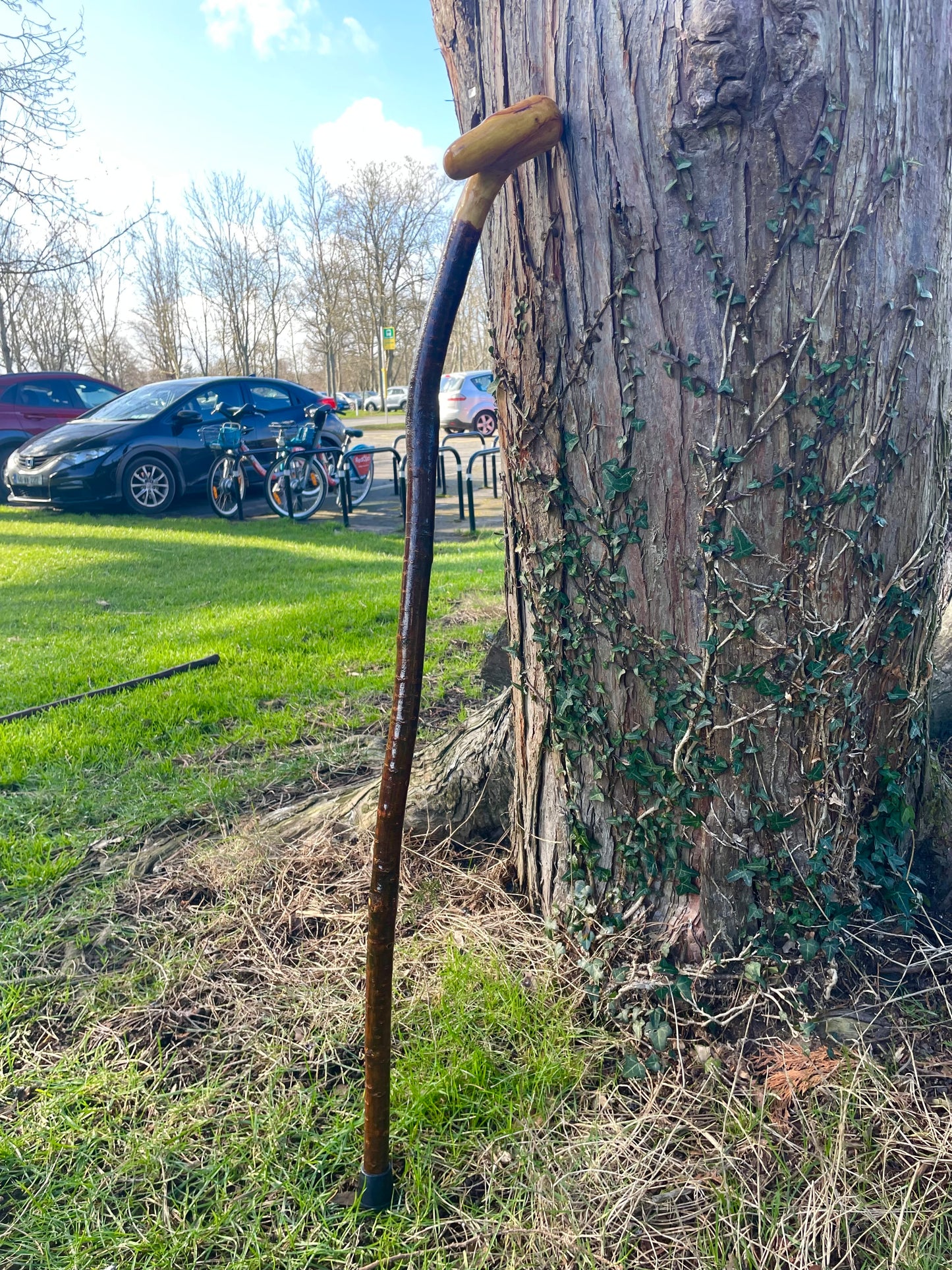 Blackthorn walking stick with curved handle