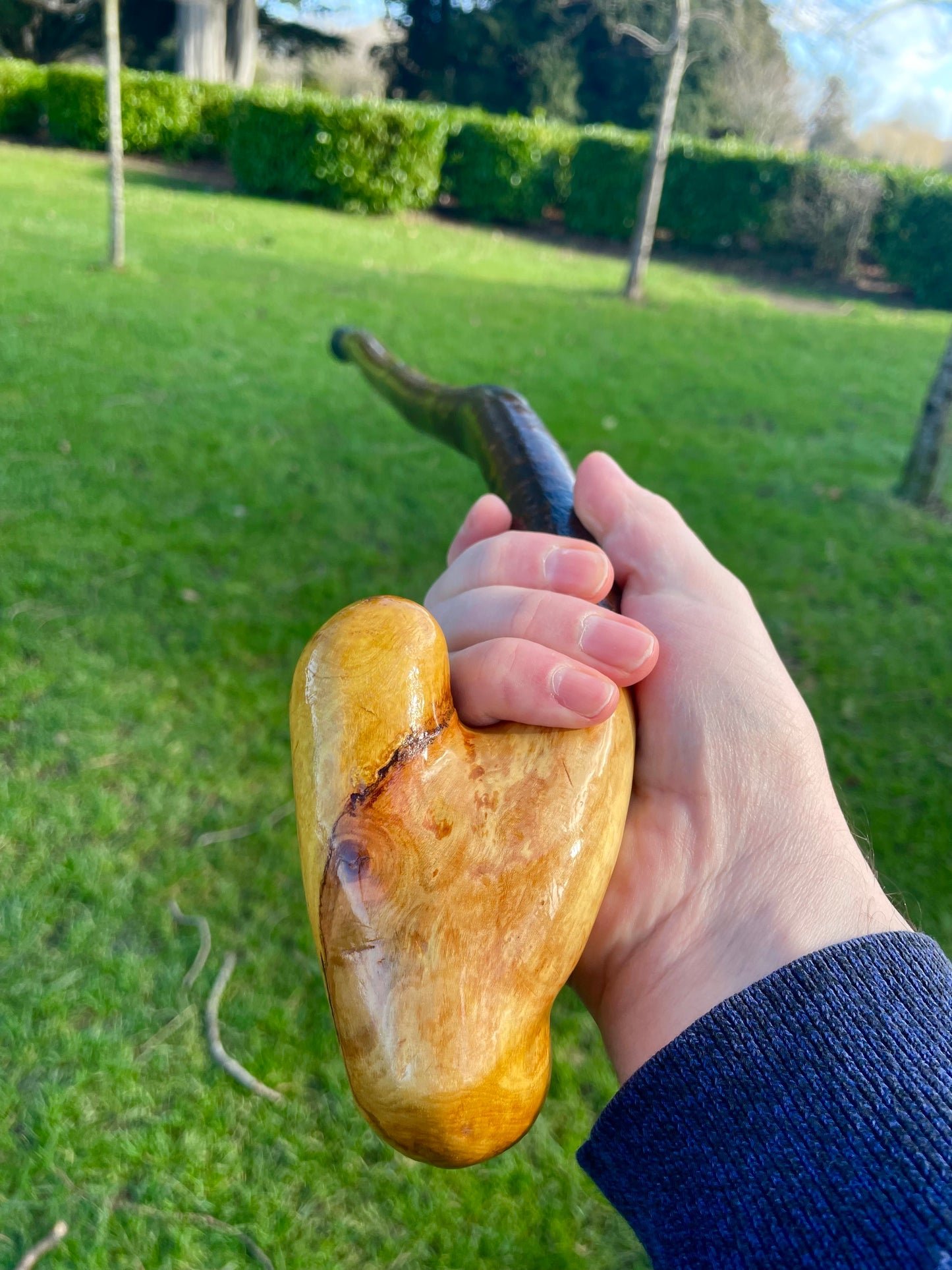 Blackthorn walking stick with curved handle