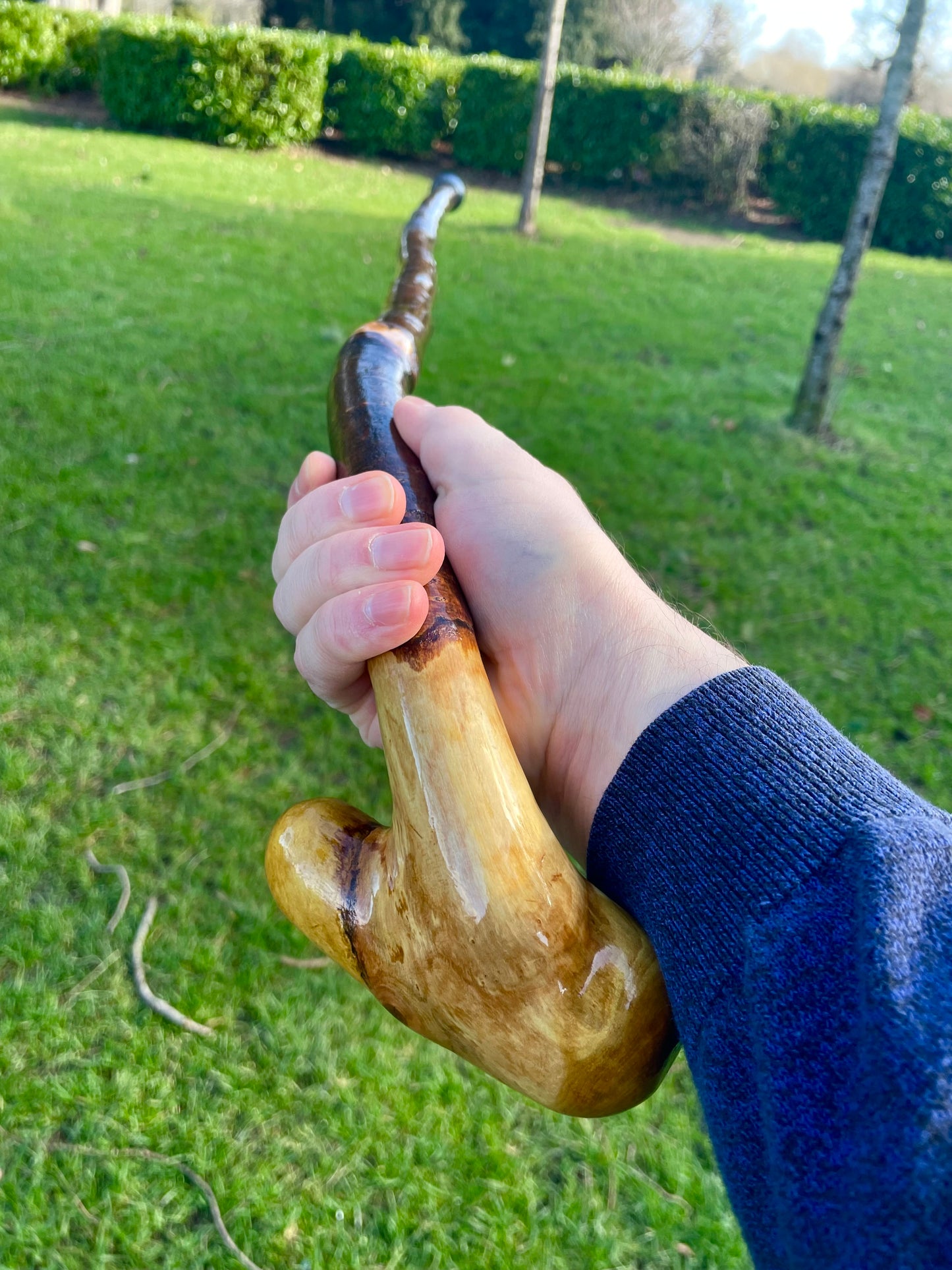 Blackthorn walking stick with curved handle