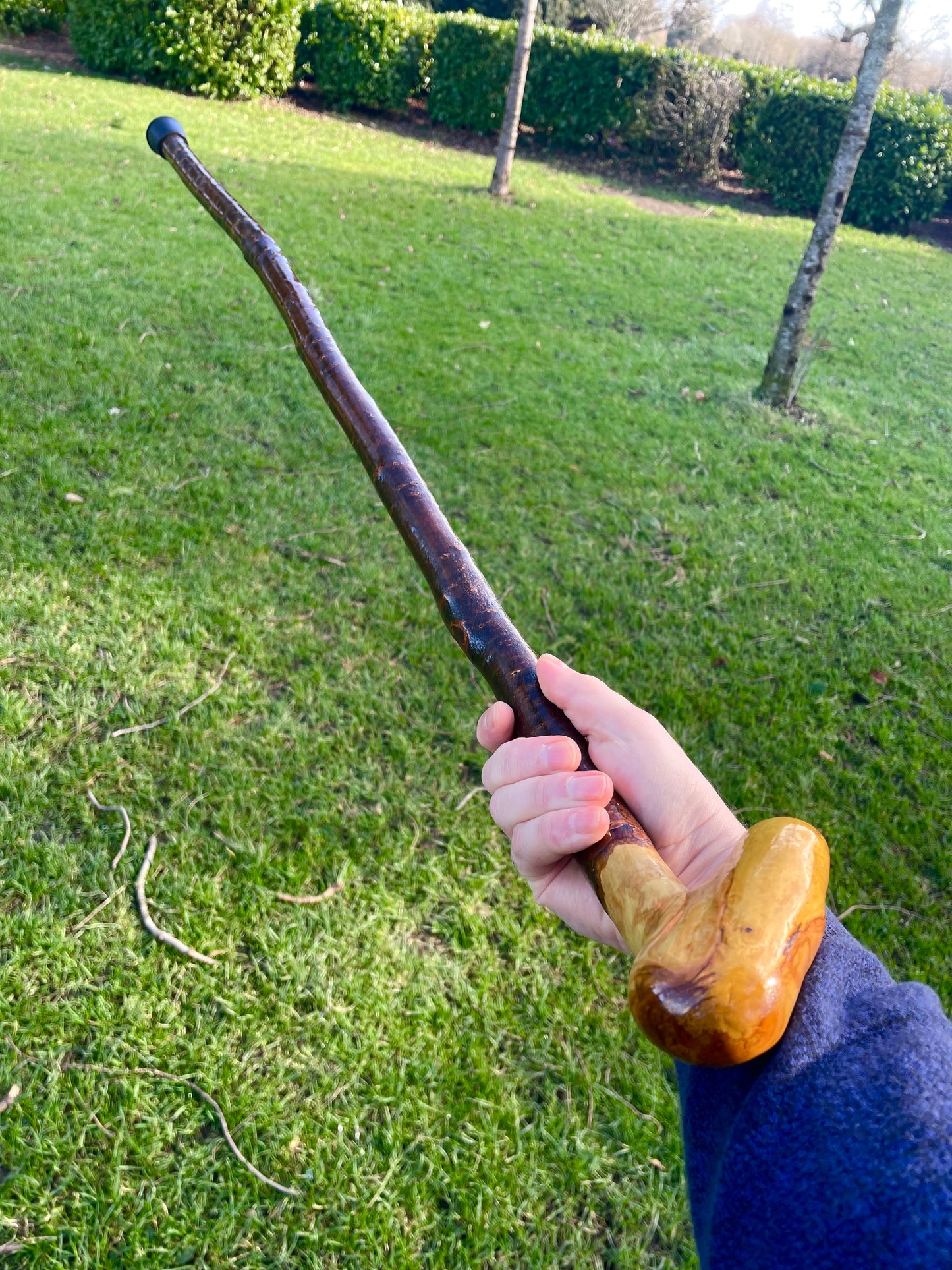 Blackthorn walking stick with curved handle