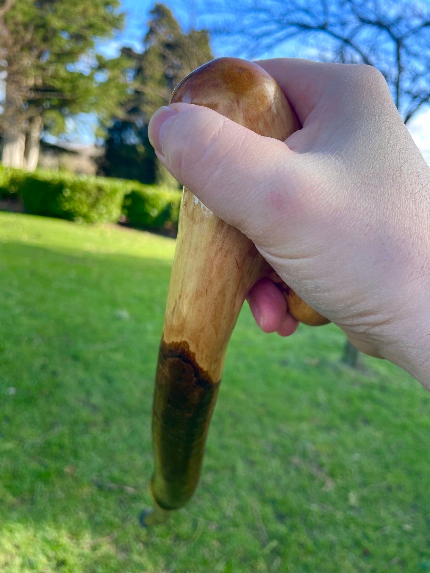 Blackthorn walking stick with curved handle