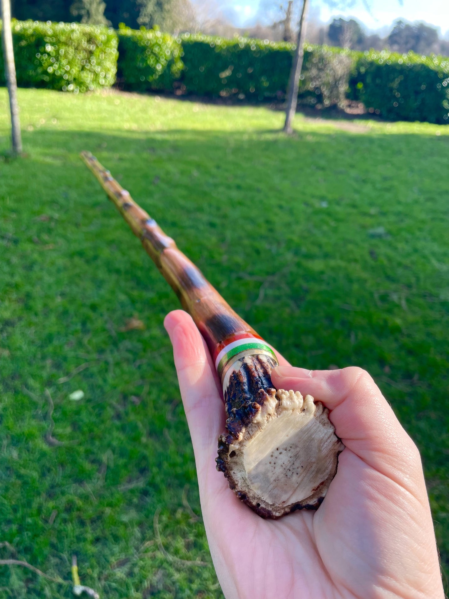 Blackthorn walking stick with curved handle