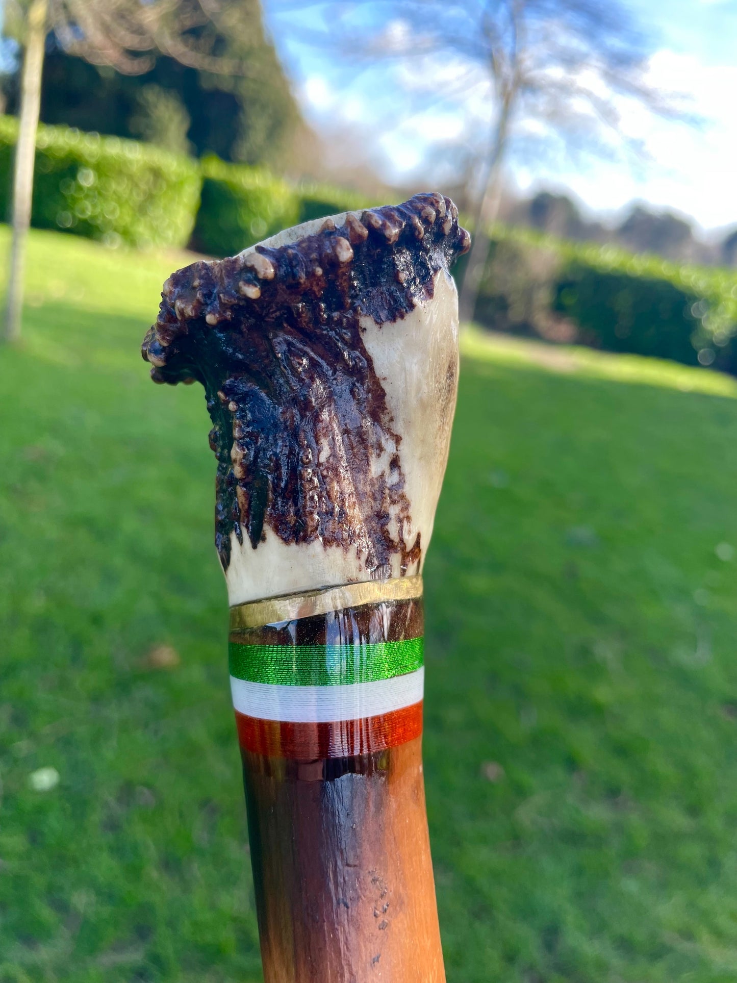 Blackthorn walking stick with curved handle