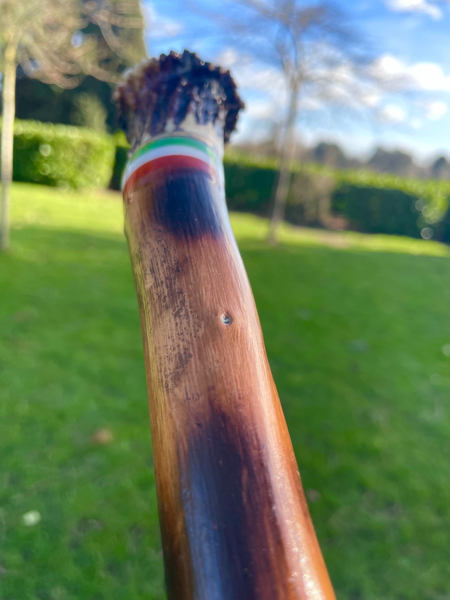 Blackthorn walking stick with curved handle