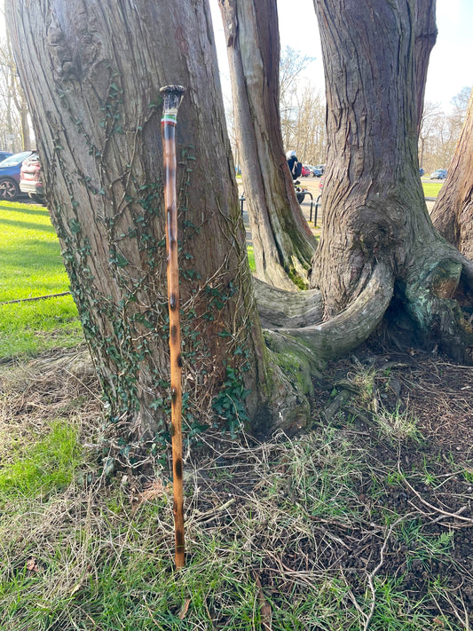Blackthorn walking stick with curved handle
