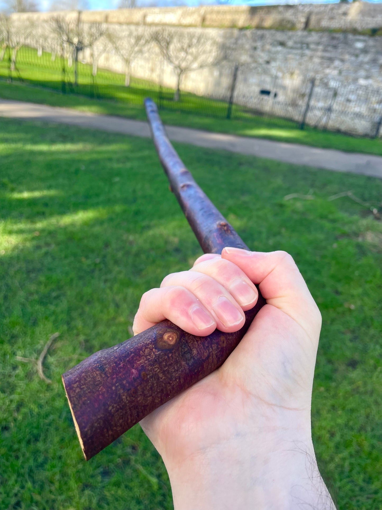 Blackthorn walking stick with curved handle