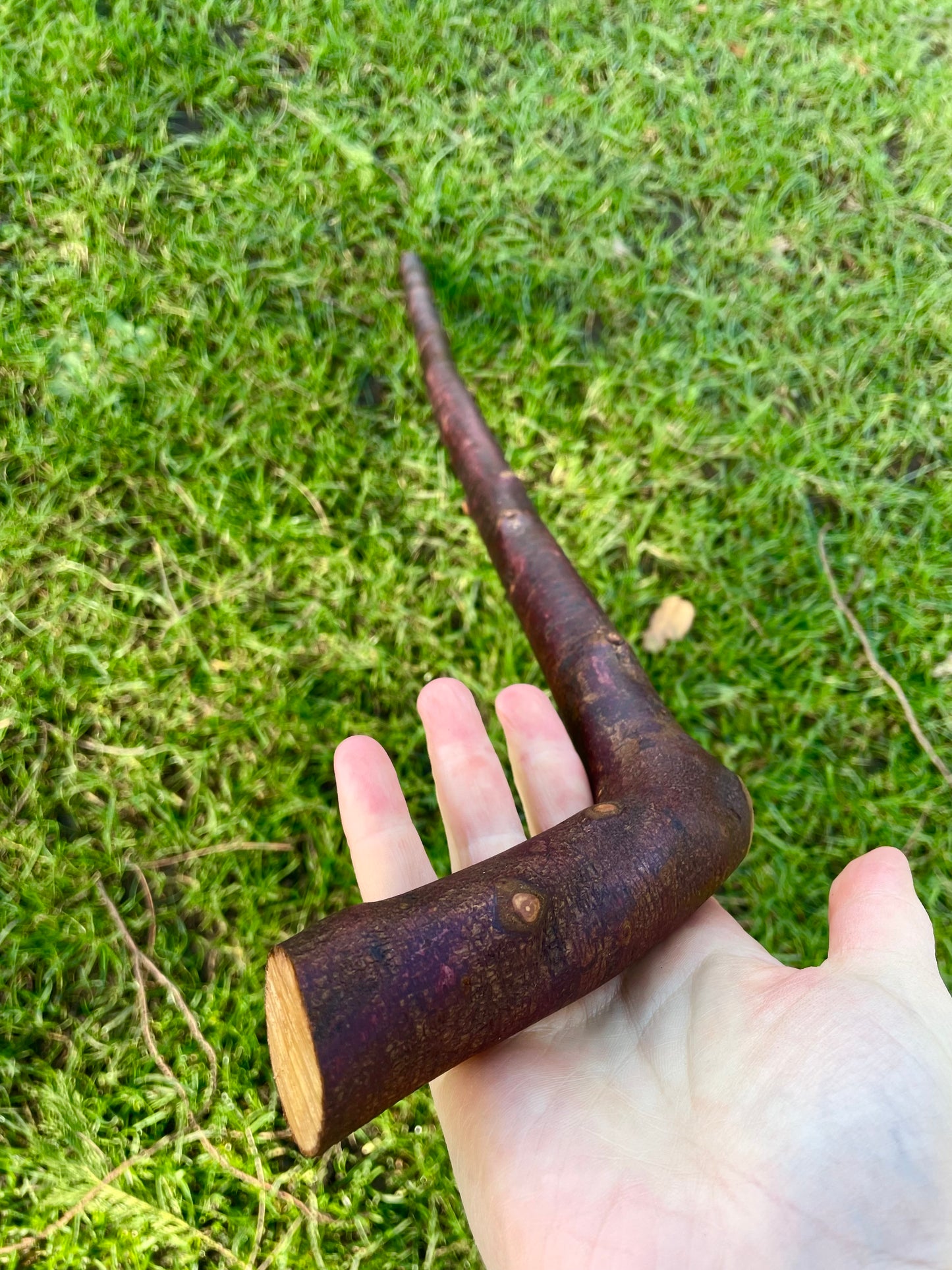Blackthorn walking stick with curved handle