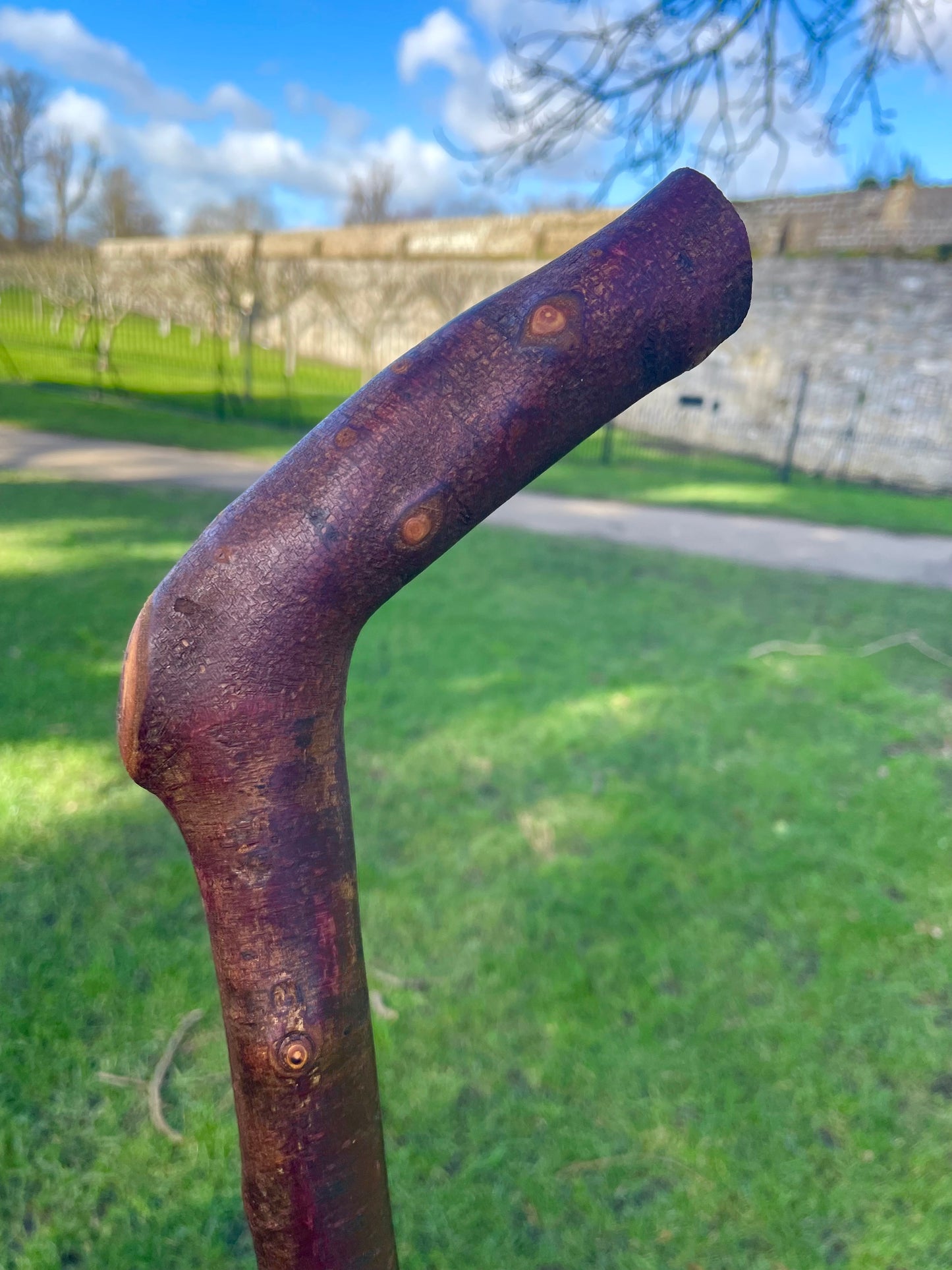 Blackthorn walking stick with curved handle