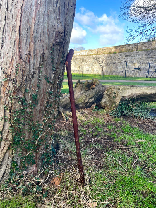 Blackthorn walking stick with curved handle
