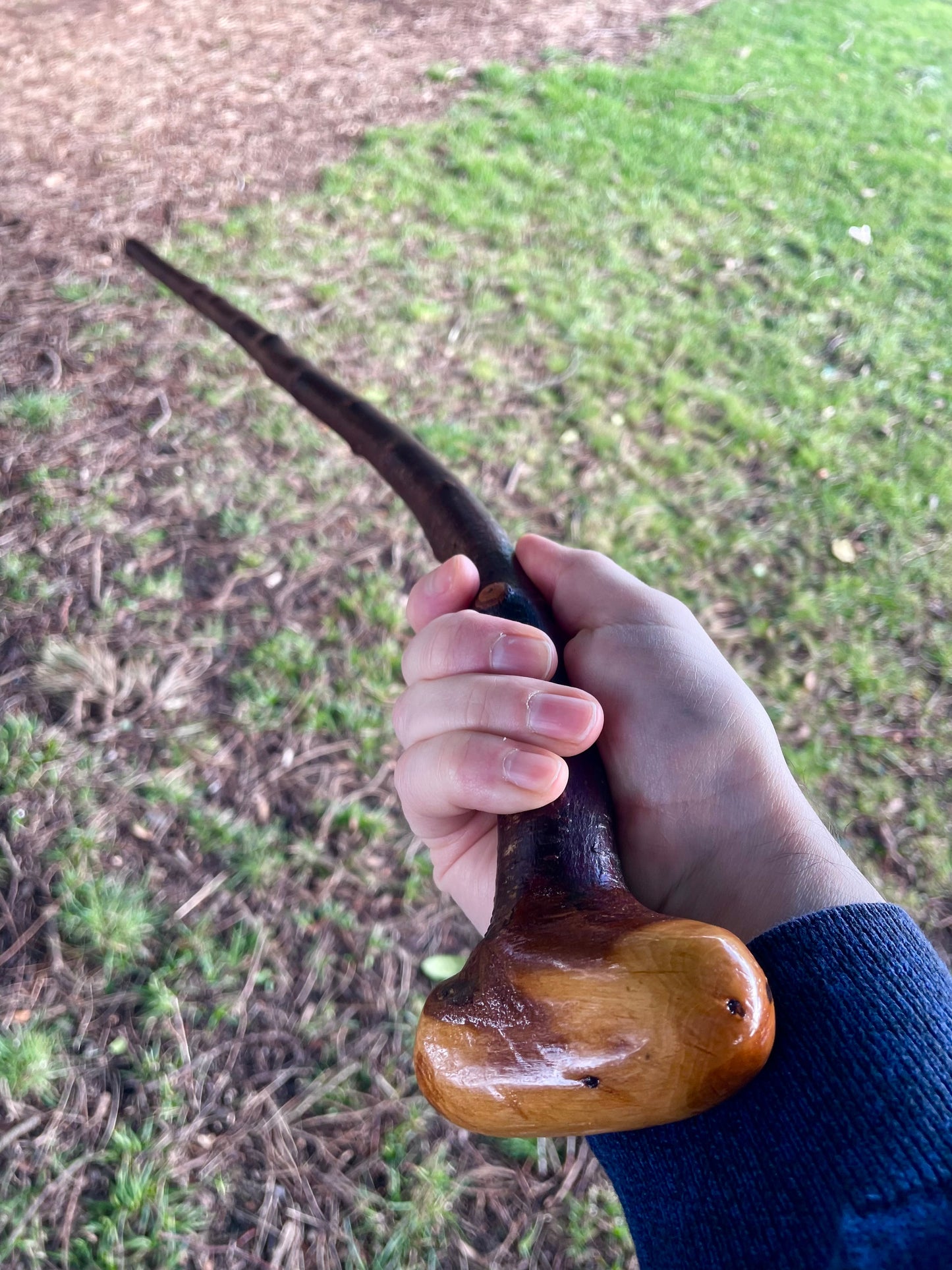 Curved Blackthorn #10 | Irish Walking Sticks