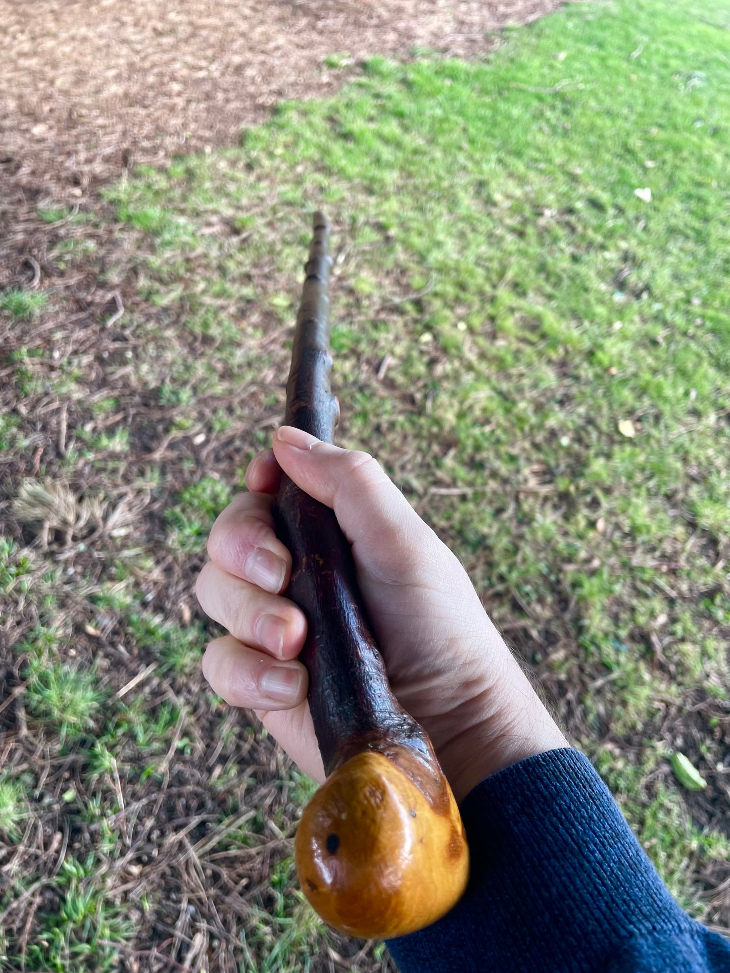 Curved Blackthorn #10 | Irish Walking Sticks