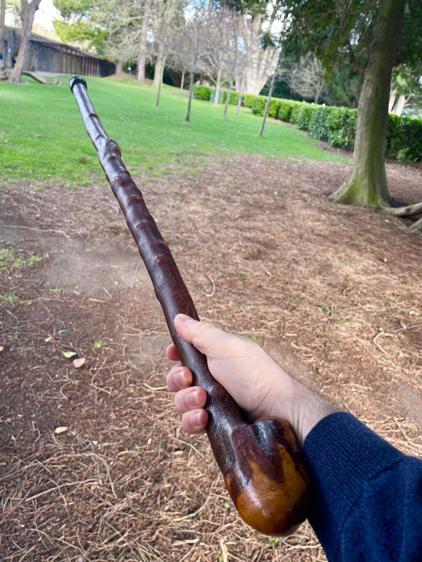 Curved Blackthorn Stick | Irish Walking Sticks