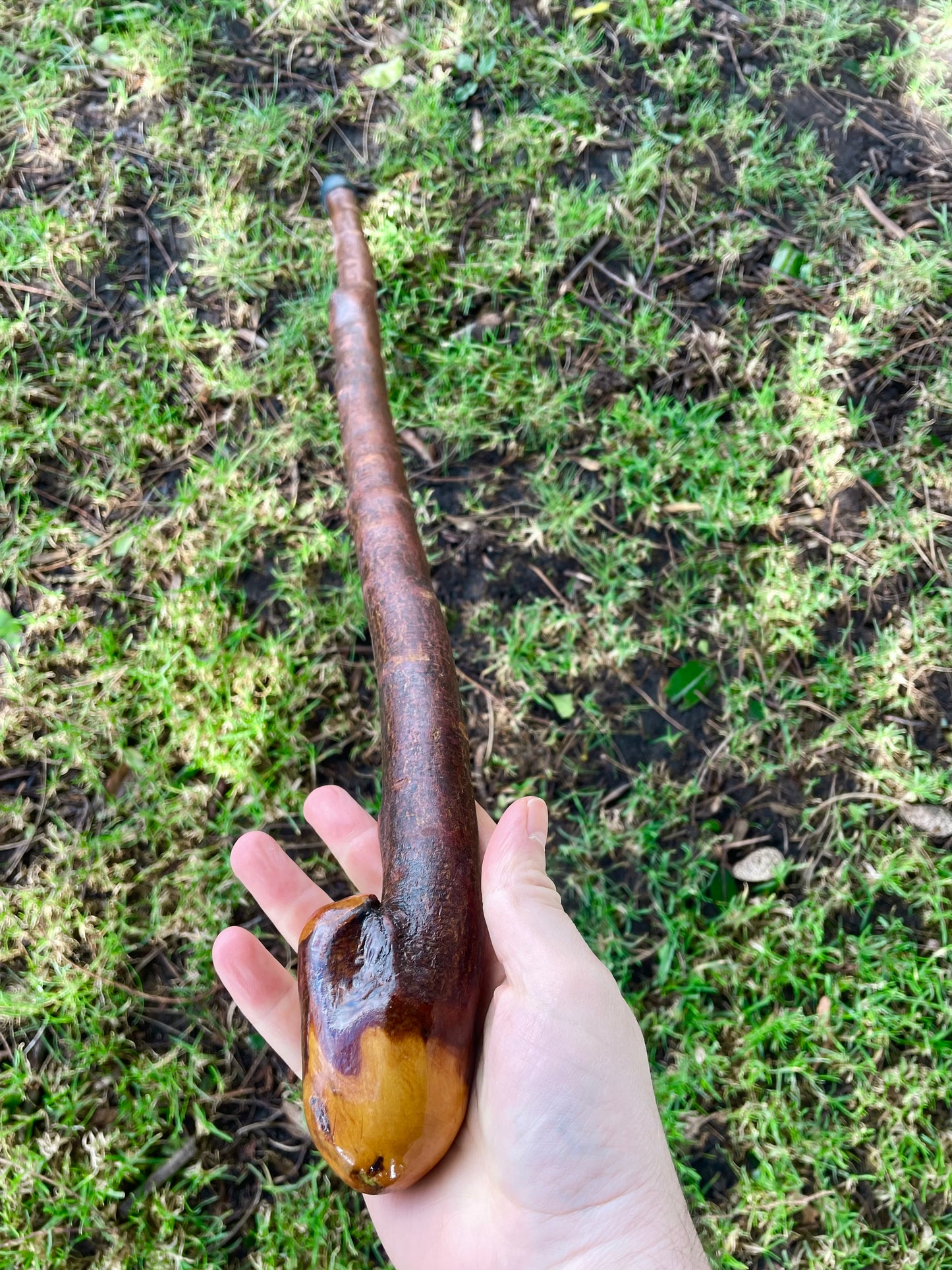 Curved Blackthorn Stick | Irish Walking Sticks