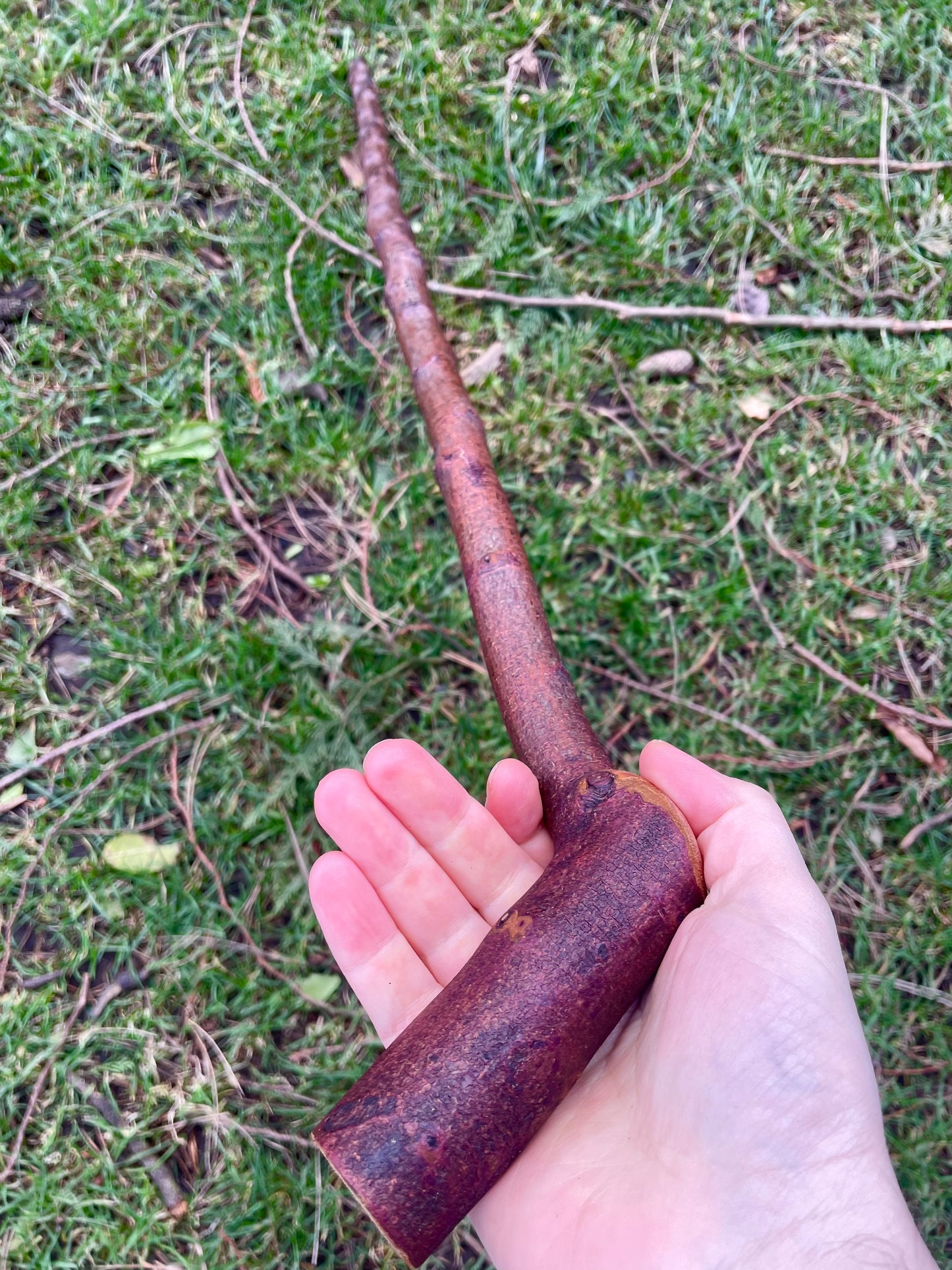 Curved Blackthorn #6 | Irish Walking Sticks