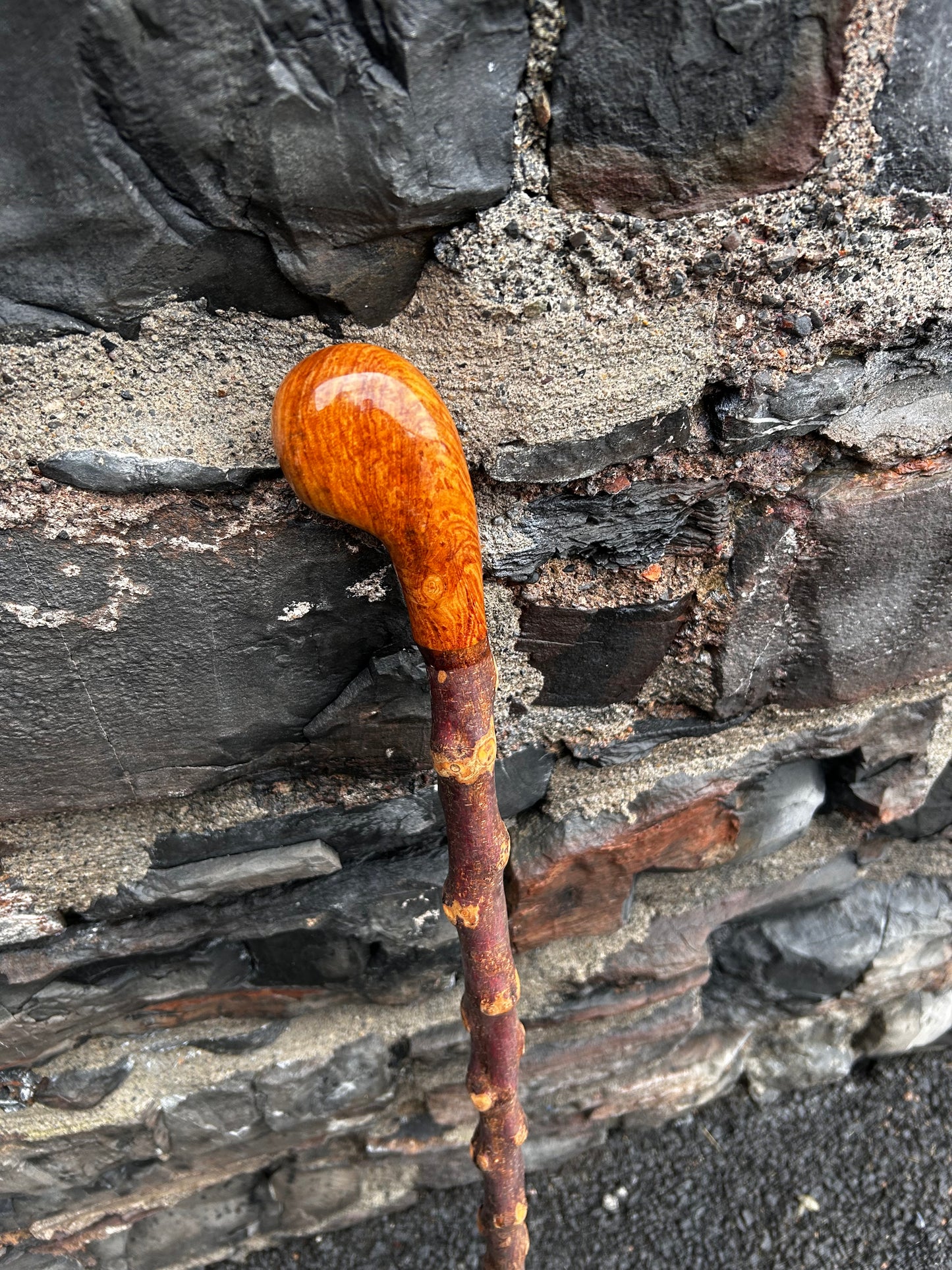 Blackthorn Shillelagh with Large Rugged Handle – 110 cm (43”)