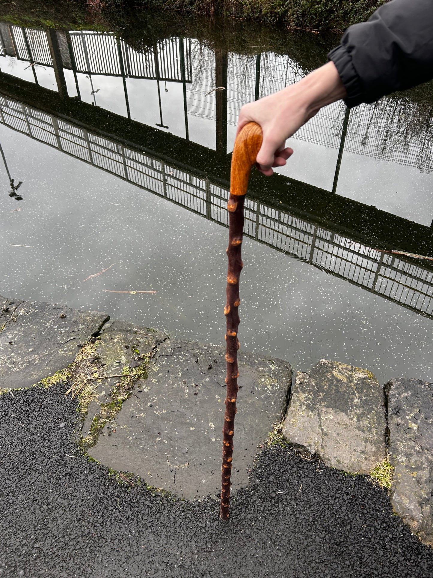Blackthorn Shillelagh with Large Rugged Handle – 110 cm (43”)