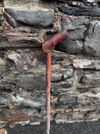 Blackthorn Shillelagh with Curved L Handle – 99 cm (39”)