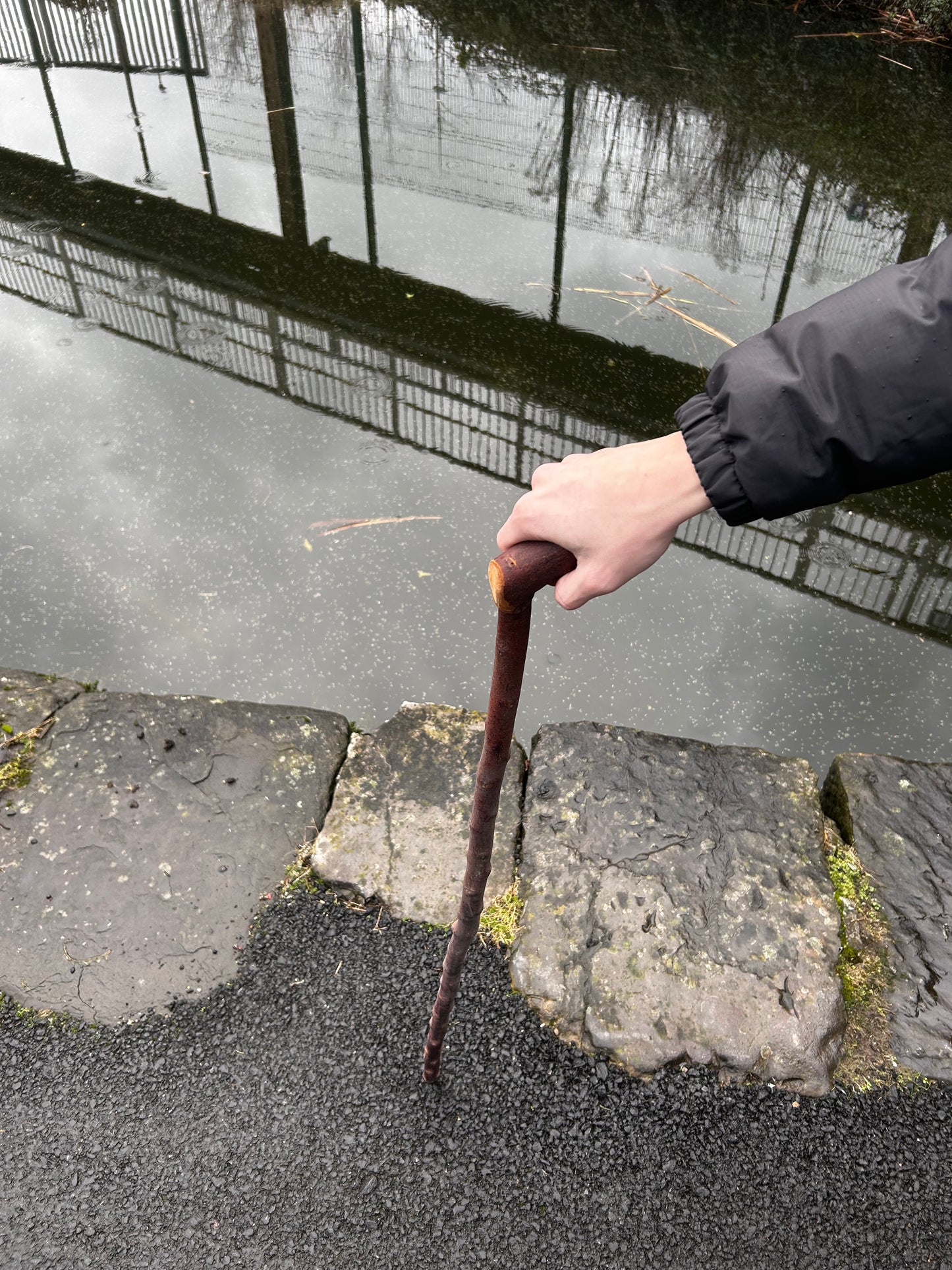 Blackthorn Shillelagh with Curved L Handle – 99 cm (39”)