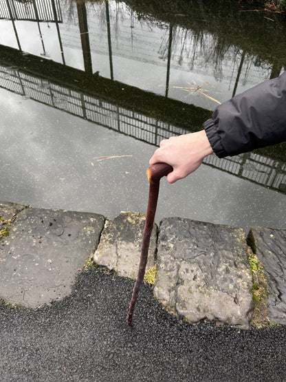 Blackthorn Shillelagh with Curved L Handle – 99 cm (39”)