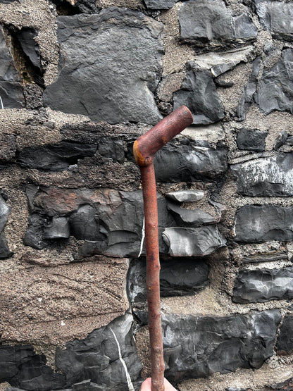 Blackthorn Shillelagh with Curved L Handle – 99 cm (39”)