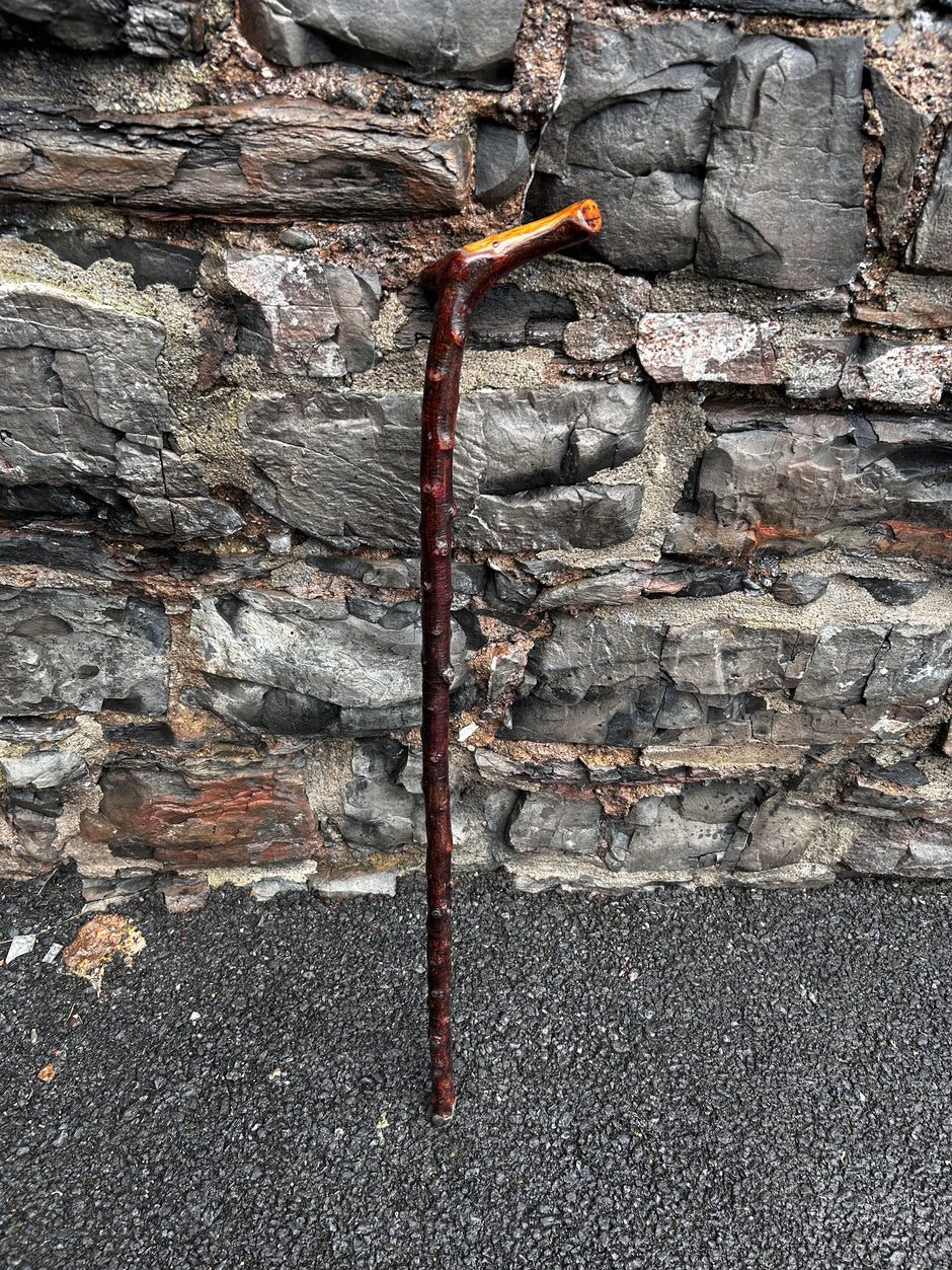 Blackthorn Walking Sticks | My Irish Walking Stick