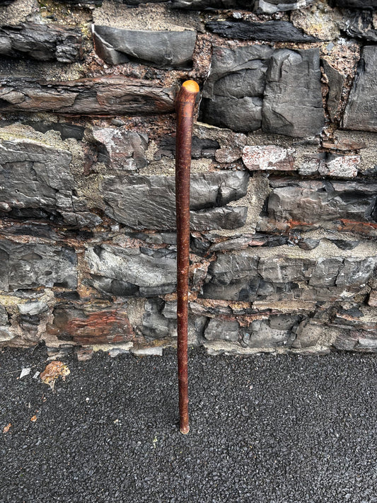 Blackthorn Shillelagh with Large Rugged Handle – 98 cm (39”)