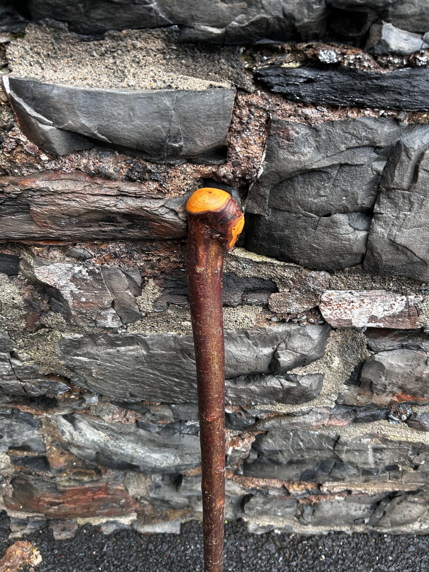 Blackthorn Shillelagh with Large Rugged Handle – 98 cm (39”)