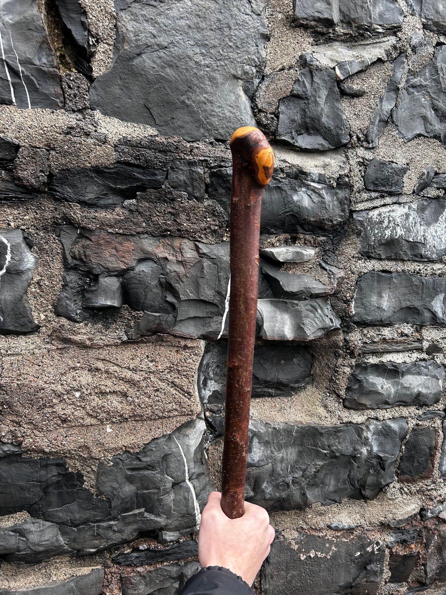 Blackthorn Shillelagh with Large Rugged Handle – 98 cm (39”)
