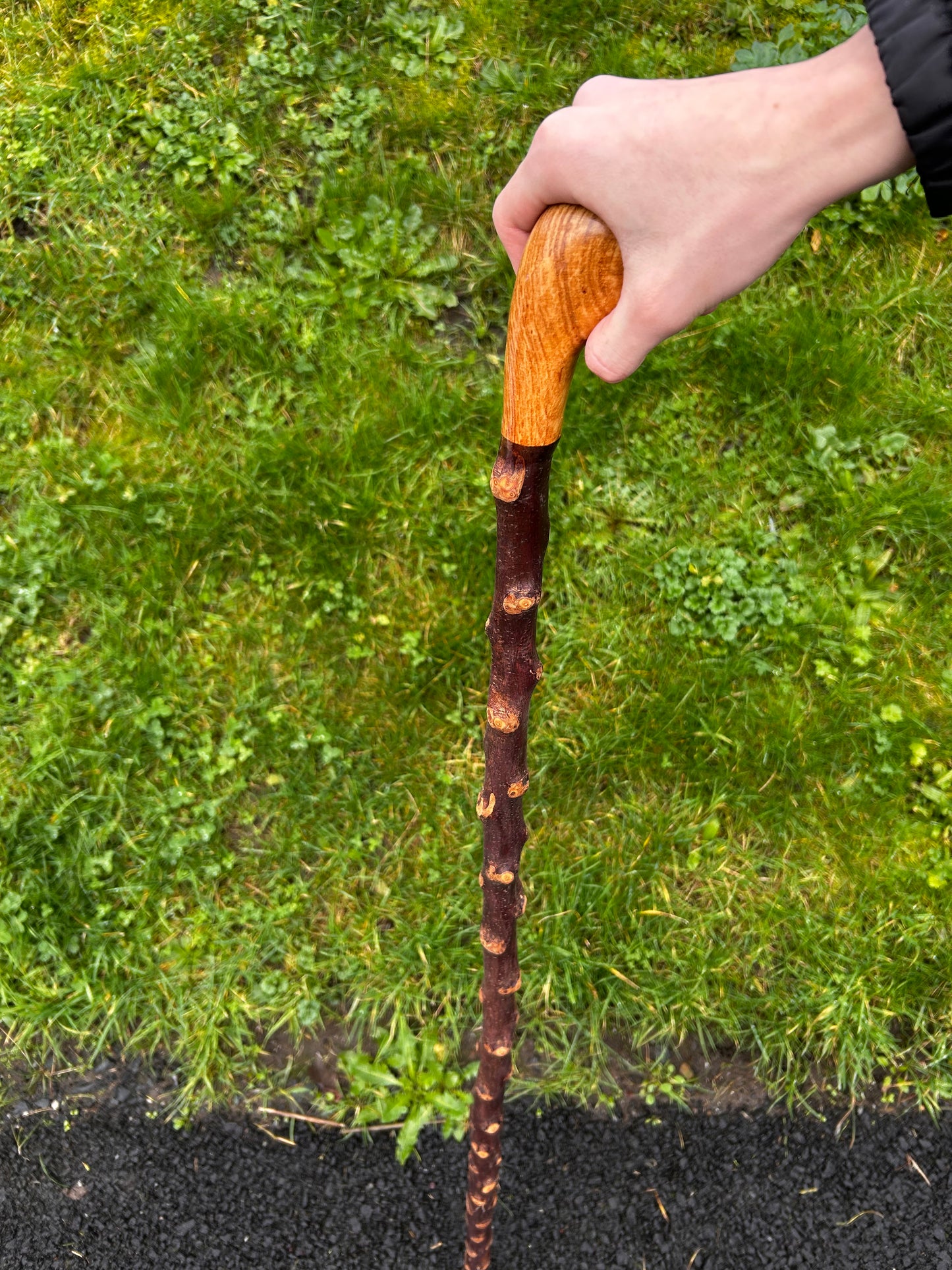 Blackthorn Shillelagh with Large Rugged Handle – 110 cm (43”)