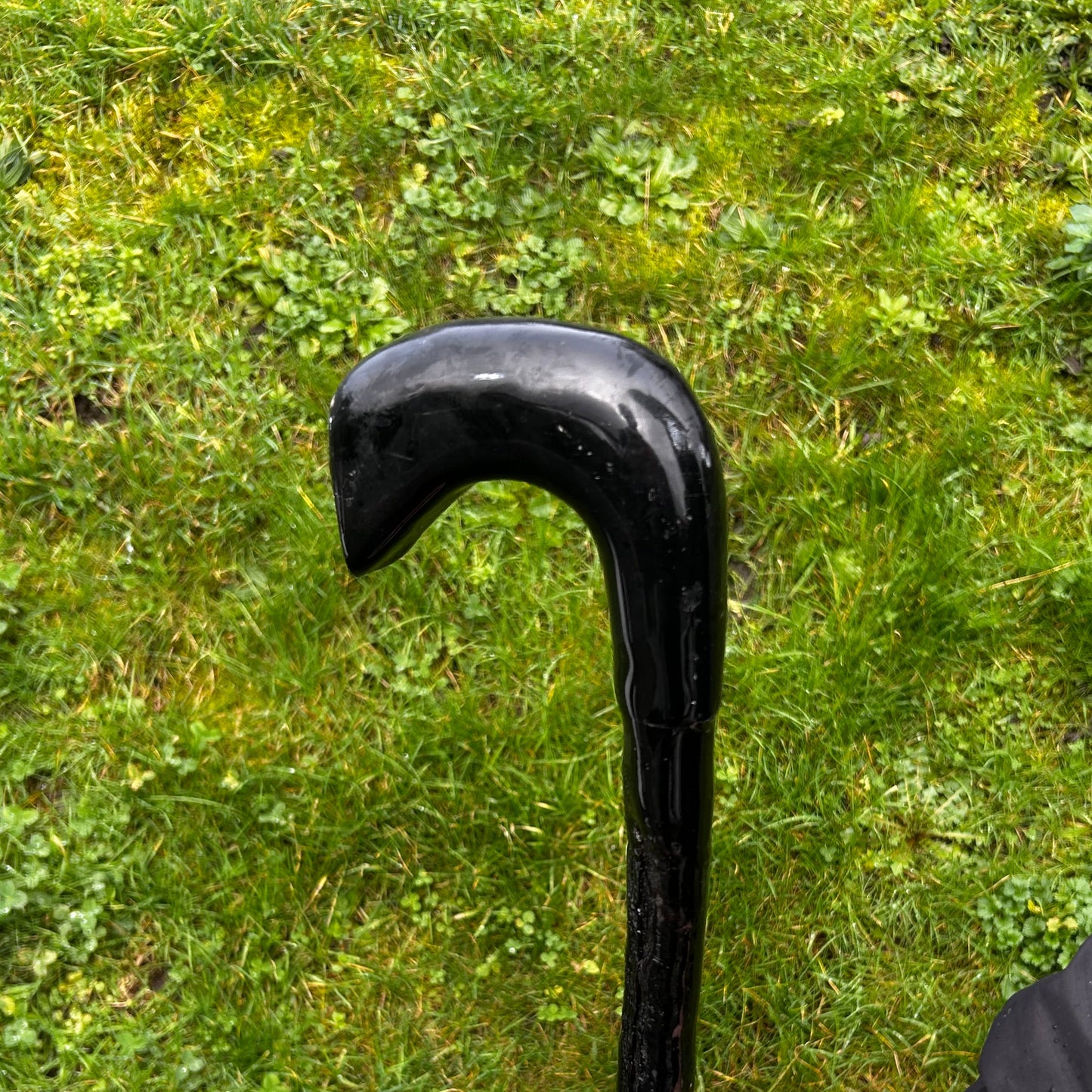 Blackthorn Walking Stick with Hazel Head – 100 cm (39”)