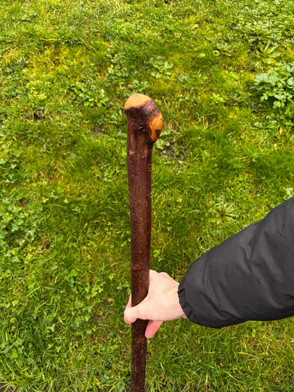 Blackthorn Shillelagh with Large Rugged Handle – 98 cm (39”)