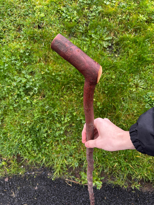 Blackthorn Shillelagh with Curved L Handle – 99 cm (39”)