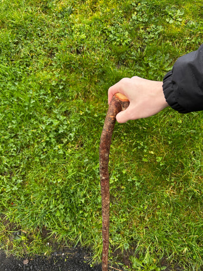 Hazel Stick – 98 cm (39”)