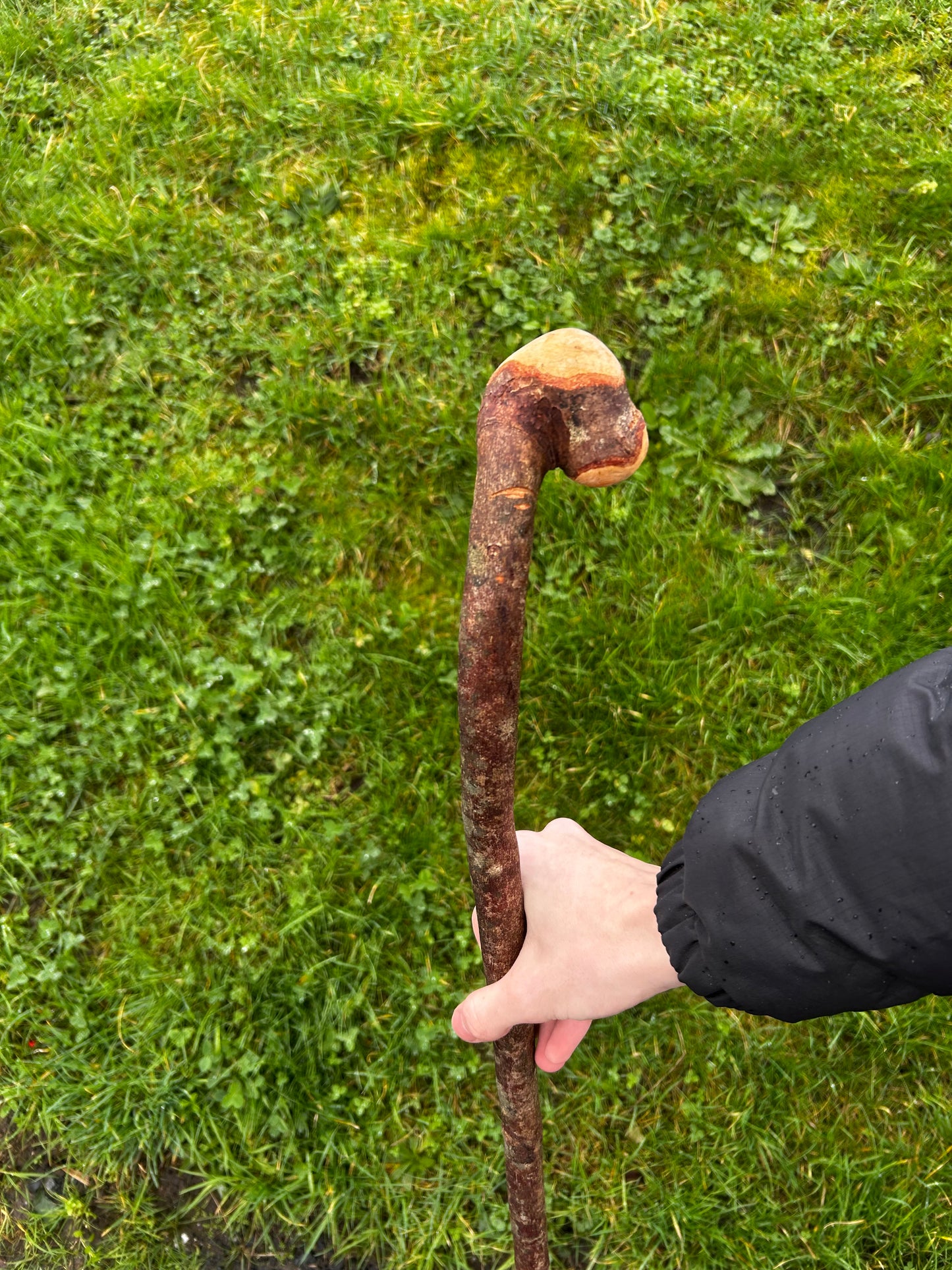 Hazel Stick – 98 cm (39”)