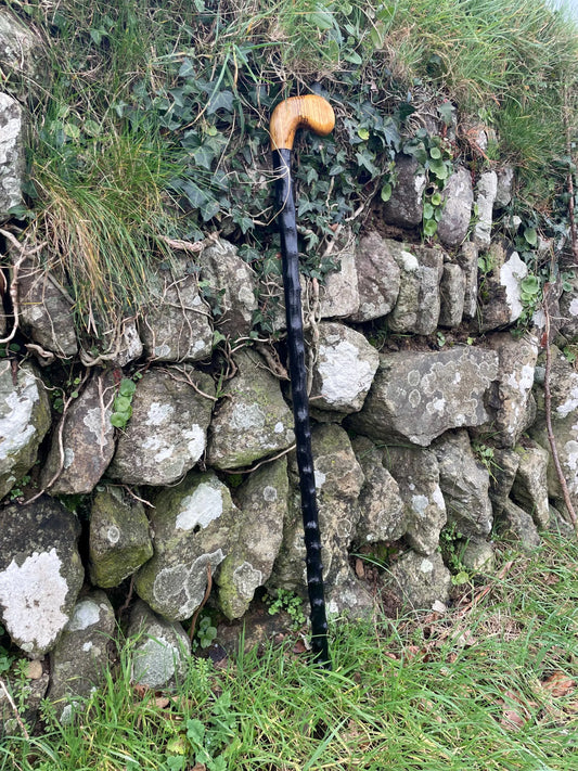 Luxury Blackthorn walking stick with Handle