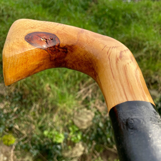 Luxury Blackthorn walking stick with Handle