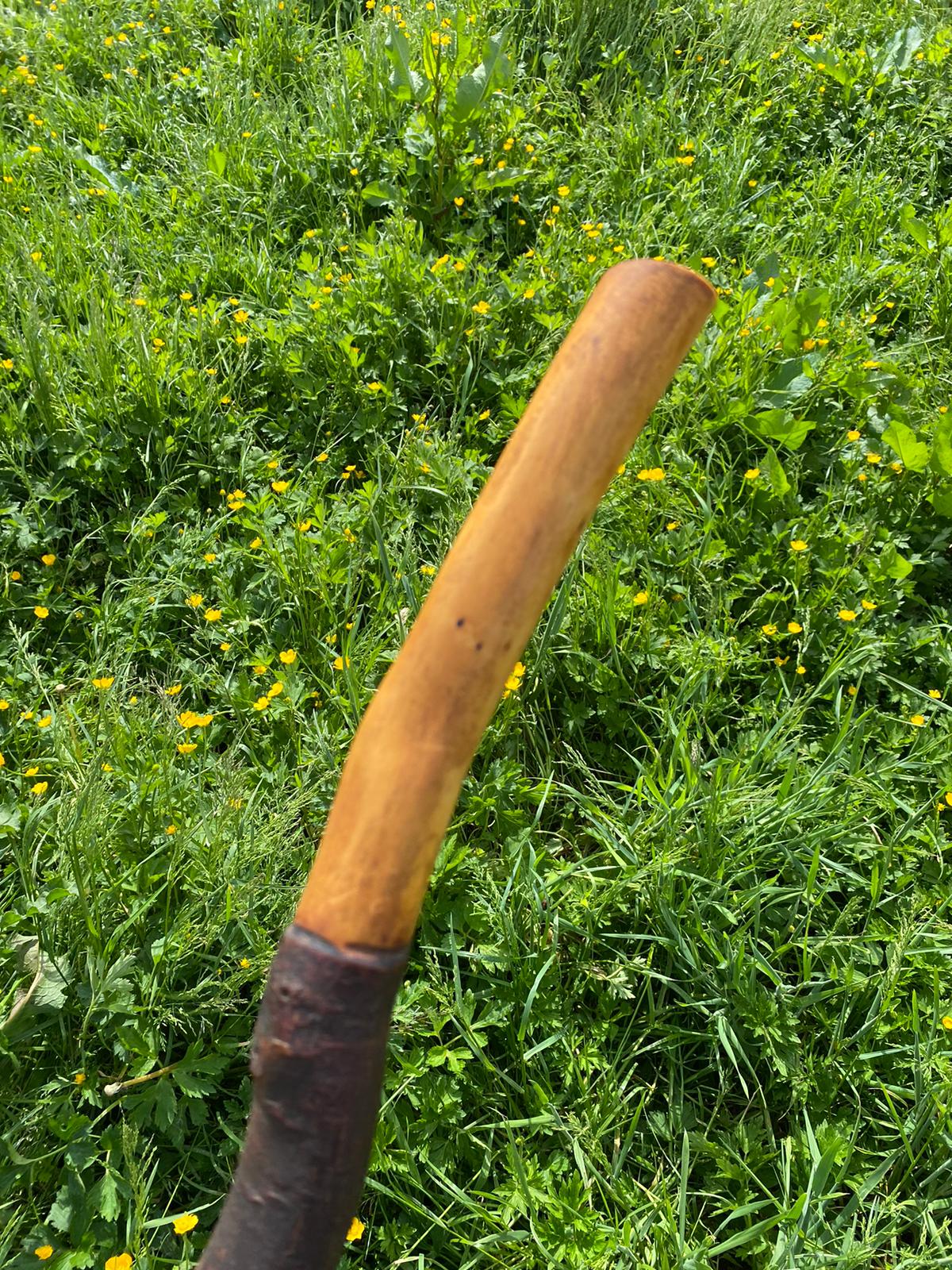 Blackthorn Wood Hiking Stick