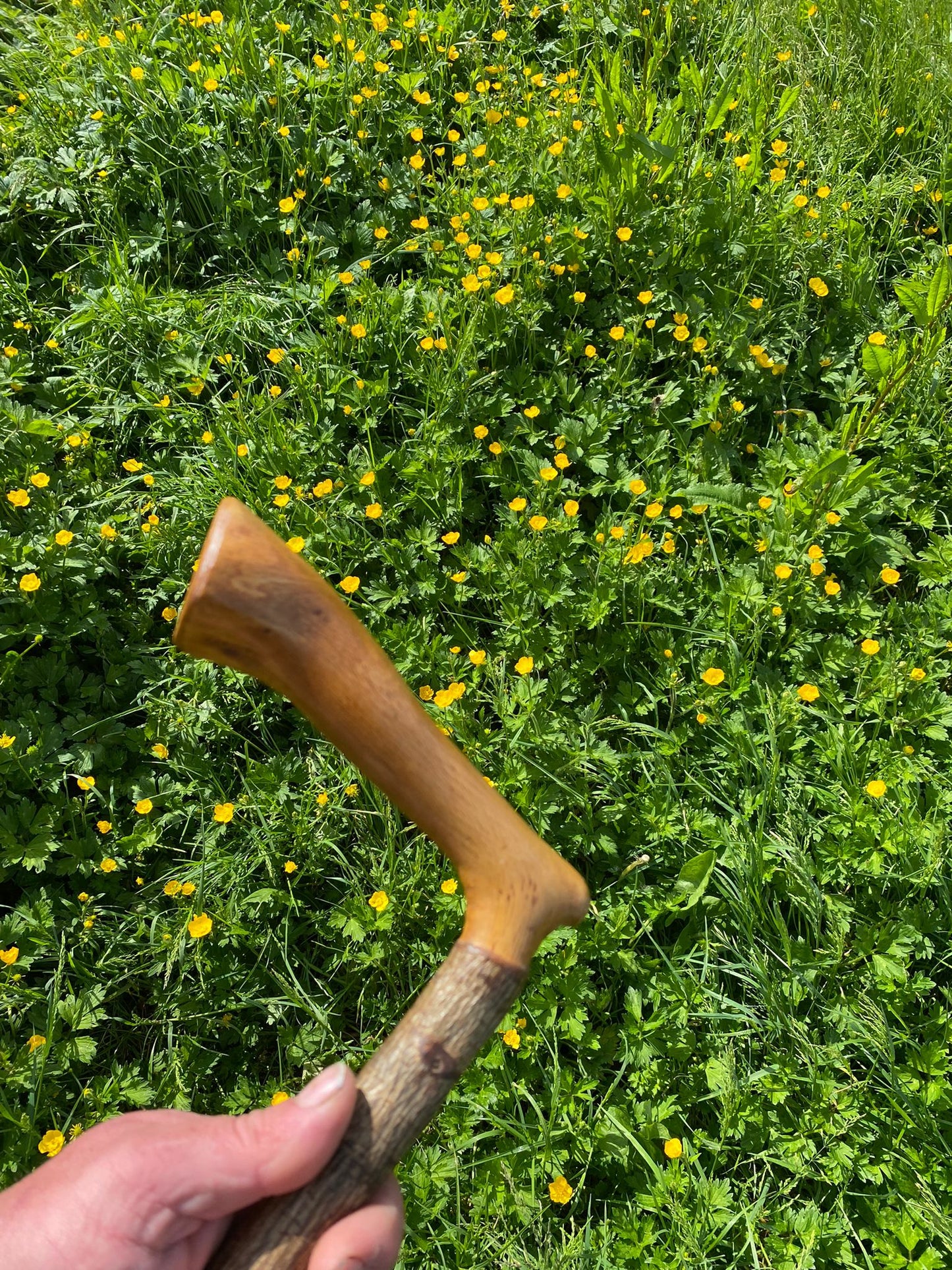 Premium Mountain Ash Wood Walking Stick