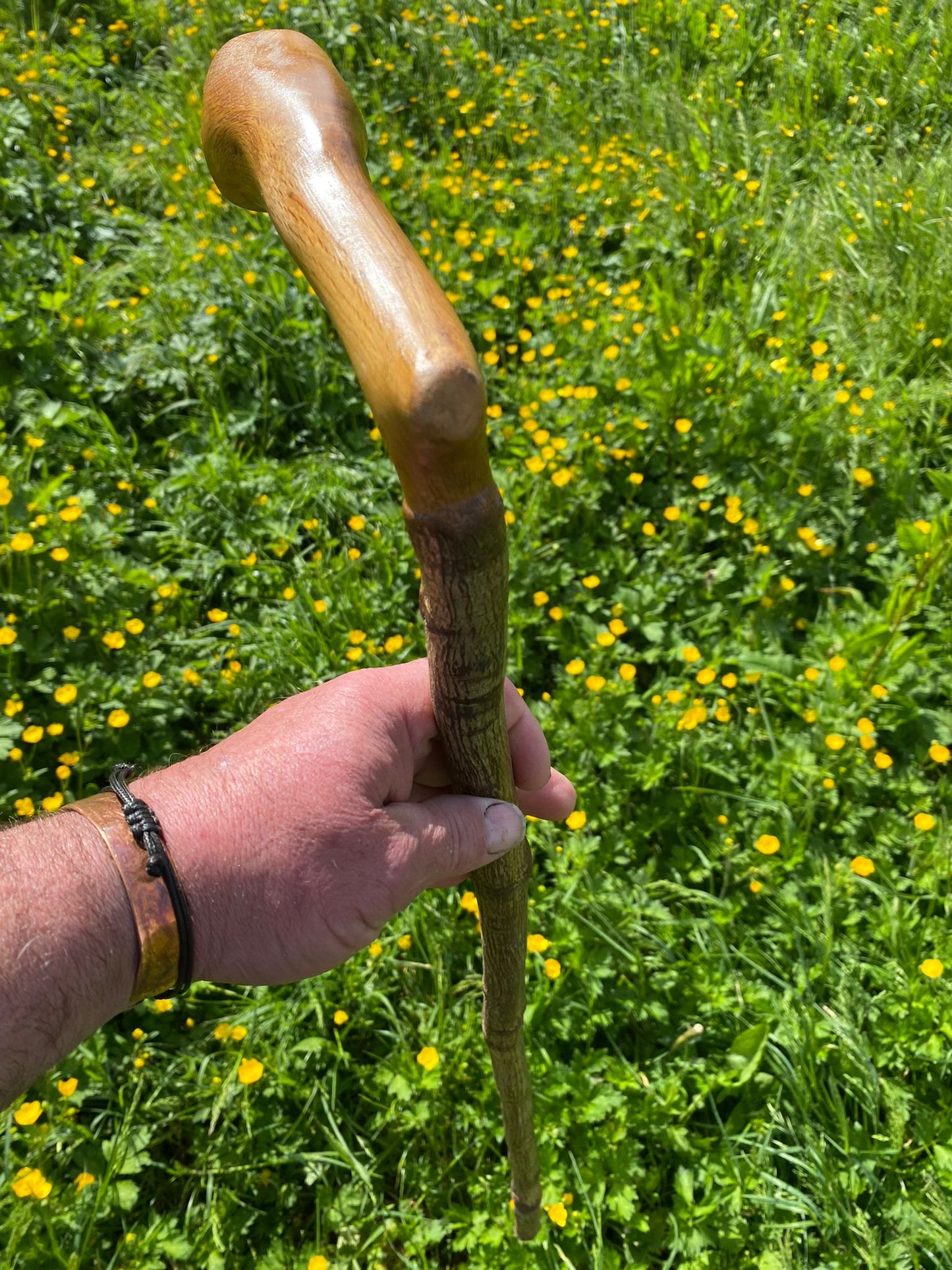 Premium Mountain Ash Wood Walking Stick