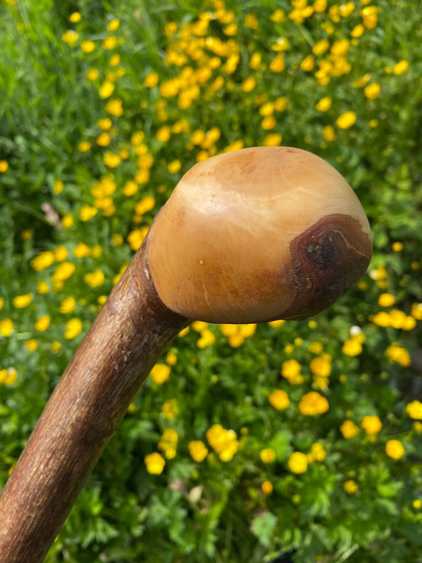 Hazel Wood Hiking and Walking Stick