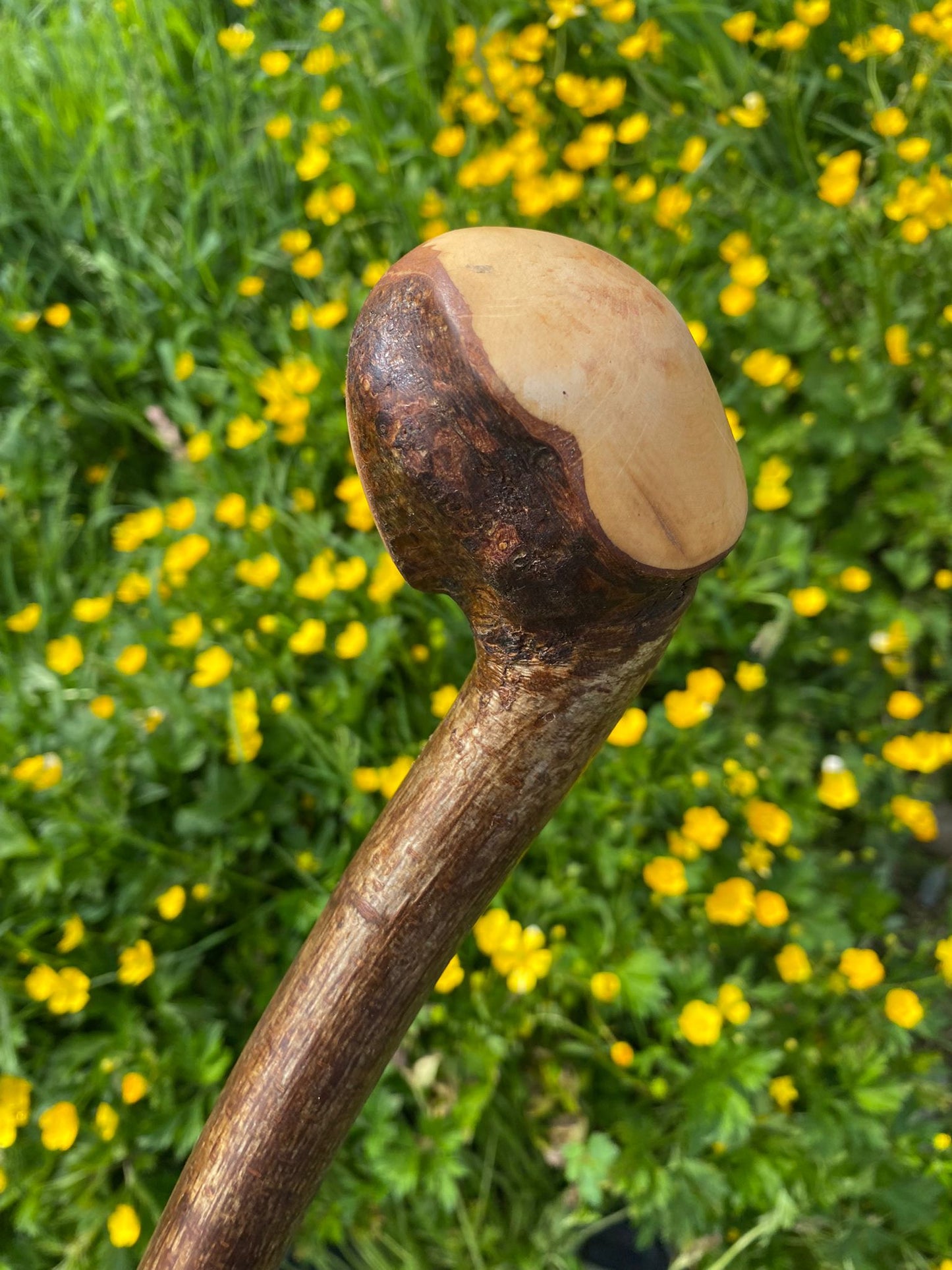 Hazel Wood Hiking and Walking Stick