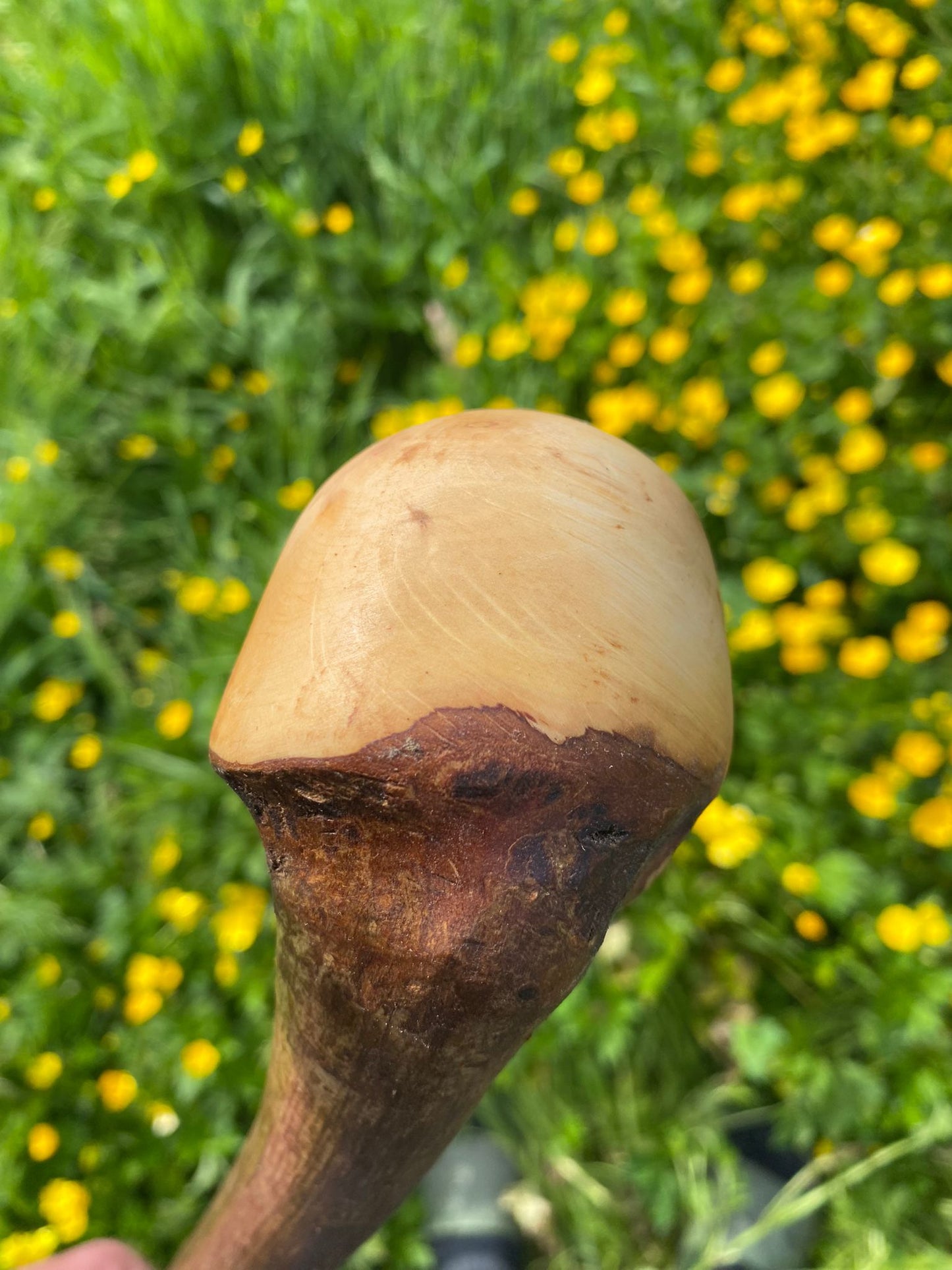 Hazel Wood Hiking and Walking Stick