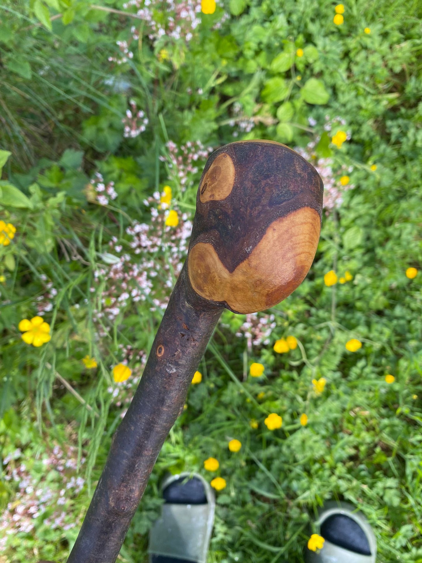 Blackthorn Irish Knob Walking Stick