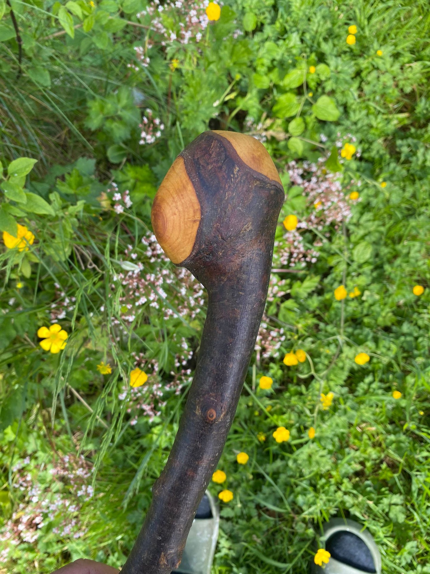 Blackthorn Irish Knob Walking Stick