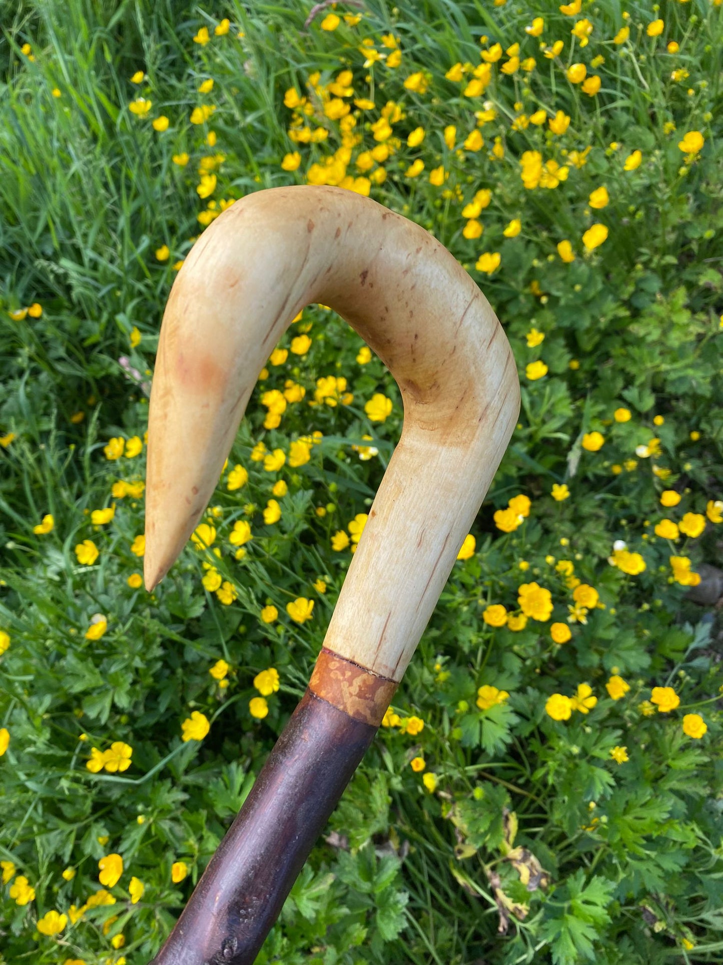 Blackthorn Wood Hiking Stick with Black Birch Handle