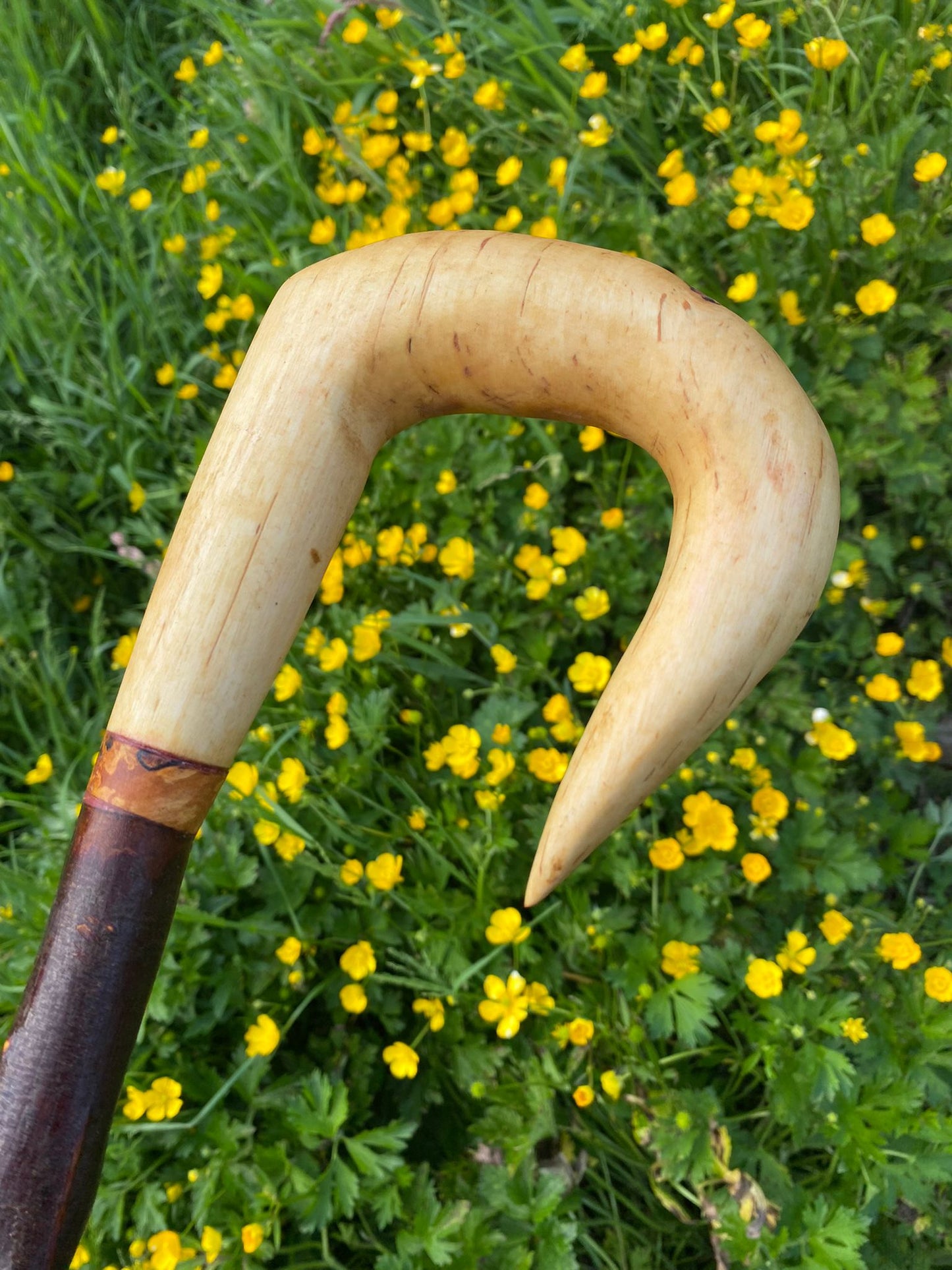 Blackthorn Wood Hiking Stick with Black Birch Handle