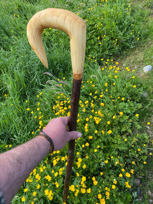 Blackthorn Wood Hiking Stick with Black Birch Handle